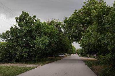 Прикрепленное изображение: IMG_20210704_211617_resize_71.jpg